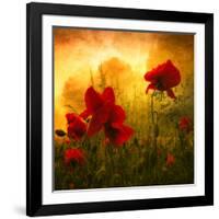 Red for Love-Philippe Sainte-Laudy-Framed Photographic Print