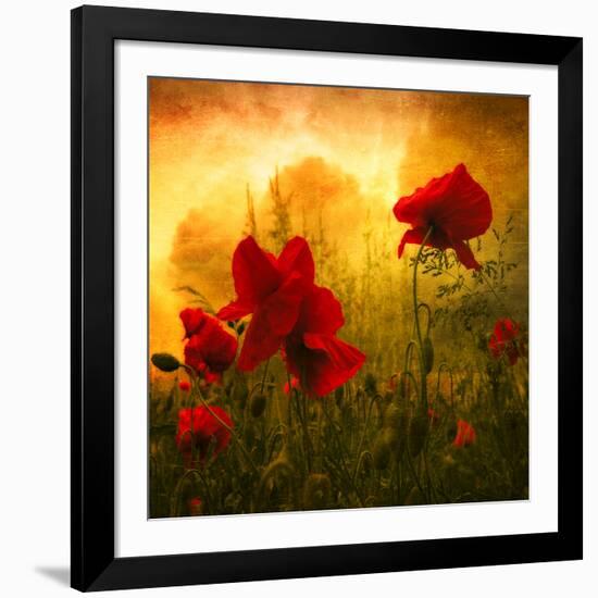 Red for Love-Philippe Sainte-Laudy-Framed Photographic Print