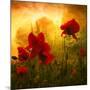 Red for Love-Philippe Sainte-Laudy-Mounted Photographic Print