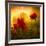 Red for Love-Philippe Sainte-Laudy-Framed Photographic Print