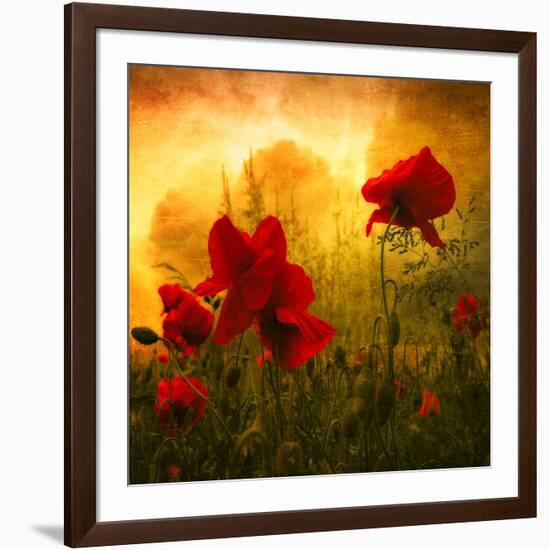 Red for Love-Philippe Sainte-Laudy-Framed Photographic Print