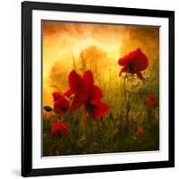 Red for Love-Philippe Sainte-Laudy-Framed Photographic Print