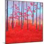 Red Forest Morning-Herb Dickinson-Mounted Premium Photographic Print