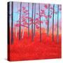 Red Forest Morning-Herb Dickinson-Stretched Canvas