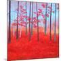 Red Forest Morning-Herb Dickinson-Mounted Photographic Print