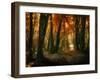 Red Forest-Philippe Manguin-Framed Photographic Print