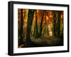 Red Forest-Philippe Manguin-Framed Photographic Print