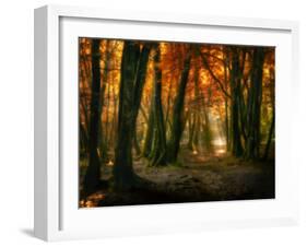 Red Forest-Philippe Manguin-Framed Photographic Print