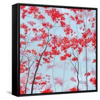 Red Forest-Herb Dickinson-Framed Stretched Canvas