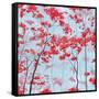 Red Forest-Herb Dickinson-Framed Stretched Canvas