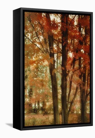 Red Forest-Mindy Sommers-Framed Stretched Canvas