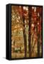 Red Forest-Mindy Sommers-Framed Stretched Canvas