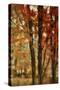 Red Forest-Mindy Sommers-Stretched Canvas