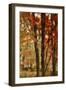 Red Forest-Mindy Sommers-Framed Giclee Print