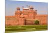 Red Fort, UNESCO World Heritage Site, Delhi, India, Asia-Gavin Hellier-Mounted Photographic Print