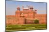Red Fort, UNESCO World Heritage Site, Delhi, India, Asia-Gavin Hellier-Mounted Photographic Print