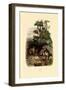 Red Fox, 1833-39-null-Framed Giclee Print