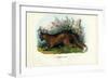 Red Fox, 1863-79-Raimundo Petraroja-Framed Giclee Print