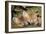 Red Fox 7 Week Old Cubs Sleeping-null-Framed Photographic Print