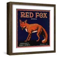 Red Fox Brand - Orange, California - Citrus Crate Label-Lantern Press-Framed Art Print