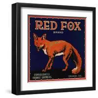 Red Fox Brand - Orange, California - Citrus Crate Label-Lantern Press-Framed Art Print