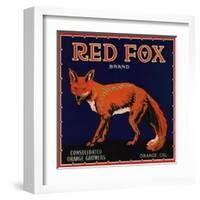 Red Fox Brand - Orange, California - Citrus Crate Label-Lantern Press-Framed Art Print