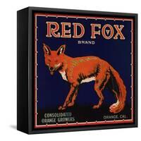 Red Fox Brand - Orange, California - Citrus Crate Label-Lantern Press-Framed Stretched Canvas