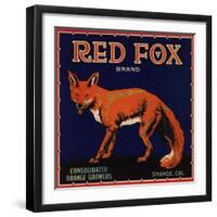 Red Fox Brand - Orange, California - Citrus Crate Label-Lantern Press-Framed Art Print