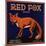 Red Fox Brand - Orange, California - Citrus Crate Label-Lantern Press-Mounted Art Print