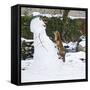 Red Fox Climbing Up Snowman-null-Framed Stretched Canvas