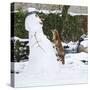 Red Fox Climbing Up Snowman-null-Stretched Canvas