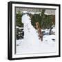 Red Fox Climbing Up Snowman-null-Framed Photographic Print