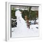 Red Fox Climbing Up Snowman-null-Framed Photographic Print