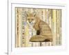 Red Fox Collage II-Nikki Galapon-Framed Art Print