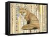 Red Fox Collage II-Nikki Galapon-Framed Stretched Canvas
