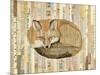 Red Fox Collage III-Nikki Galapon-Mounted Art Print