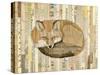 Red Fox Collage III-Nikki Galapon-Stretched Canvas