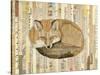 Red Fox Collage III-Nikki Galapon-Stretched Canvas