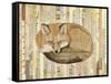 Red Fox Collage III-Nikki Galapon-Framed Stretched Canvas