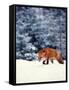 Red Fox in Snowy Woods-John Luke-Framed Stretched Canvas