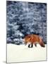 Red Fox in Snowy Woods-John Luke-Mounted Photographic Print