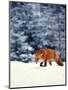 Red Fox in Snowy Woods-John Luke-Mounted Photographic Print