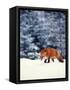 Red Fox in Snowy Woods-John Luke-Framed Stretched Canvas