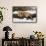 Red Fox in winter, Montana, Vulpes Vulpes-Adam Jones-Framed Stretched Canvas displayed on a wall