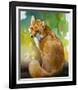 Red Fox Looking Back-Joni Johnson-Godsy-Framed Giclee Print