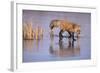 Red Fox on a Frozen Pond-DLILLC-Framed Photographic Print