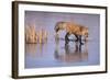 Red Fox on a Frozen Pond-DLILLC-Framed Photographic Print