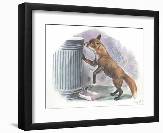 Red Fox Vulpes Vulpes Looking for Food in a Garbage Bin-null-Framed Giclee Print