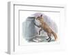 Red Fox Vulpes Vulpes Looking for Food in a Garbage Bin-null-Framed Giclee Print