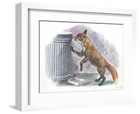 Red Fox Vulpes Vulpes Looking for Food in a Garbage Bin-null-Framed Giclee Print